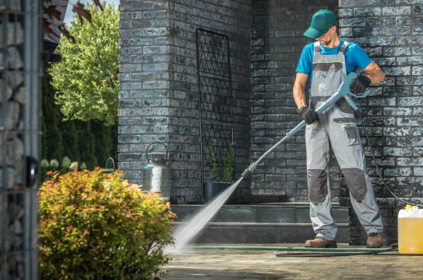 Best Graffiti Removal Services in Meadowbrook, VA
