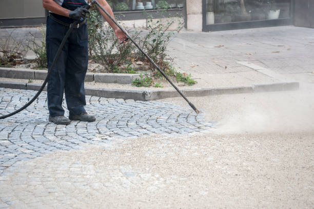 Best Residential Pressure Washing in Meadowbrook, VA