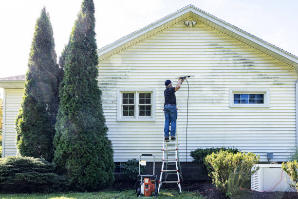 Best Gutter Cleaning and Brightening in Meadowbrook, VA