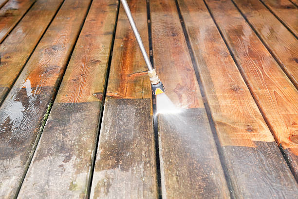 Best Roof Cleaning and Mildew Removal in Meadowbrook, VA